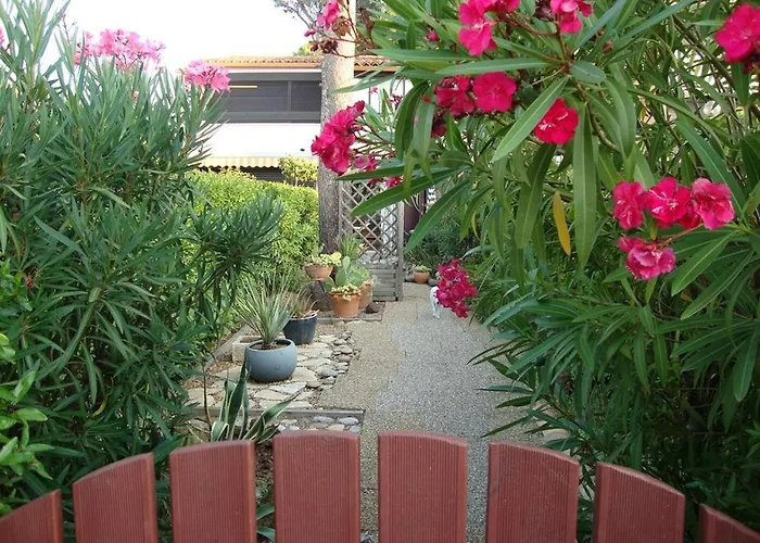 Apartamento Cap Les Pins Joli T2 Piscine Tennis Mt St Martin Cap D'agde *